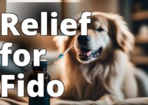 Unlocking The Power Of Cbd Oil: How It Provides Effective Pain Relief For Dogs