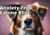 Say Goodbye To Dog Anxiety With Cbd Oil: A Complete Pet Parent’S Guide