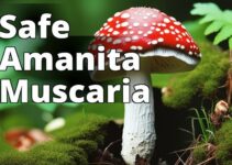 Amanita Muscaria Safety: Everything You Need To Know For A Safe Mushroom Experience