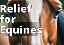 Revolutionizing Equine Care: How Cbd Oil Helps Horses With Anxiety