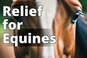 Revolutionizing Equine Care: How Cbd Oil Helps Horses With Anxiety