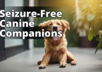 Cbd Oil For Seizures In Dogs: A Comprehensive Guide To Improving Pet Health