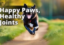 The Ultimate Guide To Cbd Oil Benefits For Joint Pain In Dogs