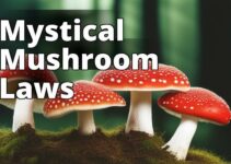 Amanita Muscaria: Unveiling The Legal Landscape And Potential Hazards