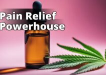 Cbd Oil Benefits For Pain Relief: Everything You Need To Know