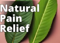 Experience The Natural Wonder: Kratom’S Pain Relief Benefits Revealed