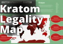 Discover The Legality Of Kratom In Your Country