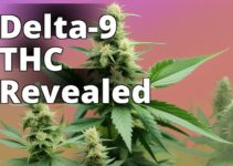 Delta 9 Thc: Legal Or Not? The Latest Updates And Future Implications