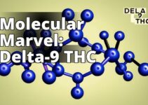 Understanding Delta-9-Thc: Decoding Its Chemical Composition