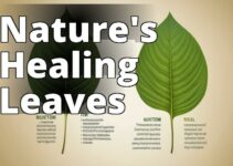 The Healing Secrets Of Kratom Leaves: Medicinal Uses Explored